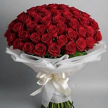 Букет 101 Красная роза Блэк Мэджик в Лозовом