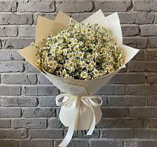 Букет цветов из:  Ромашки #REPLACE_PRED# Лозовом