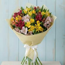 Букет цветов из:  Альстромерии в Лозовом