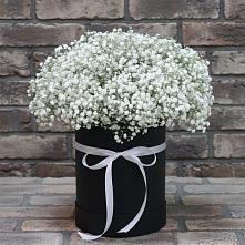 Цветочная композиция из Гипсофила в шляпной коробке в Лозовом