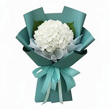 Букет цветов из:  Гортензия в Лозовом